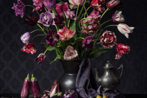 Rembrandts-tulpen-in-paars-40×50-1 Rembrandts-tulpen-in-paars-40×50-1